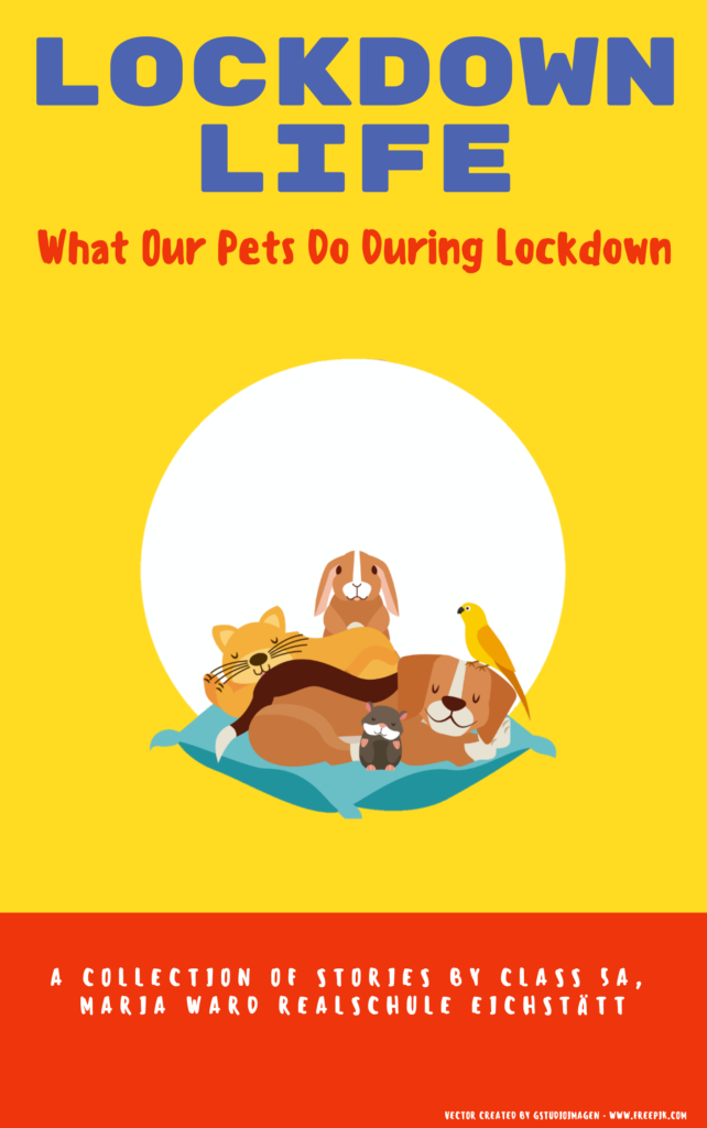 Lockdown Life – Ein Buchprojekt der Klasse 5a